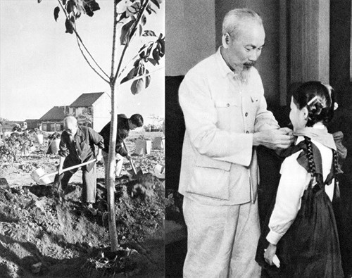 Ảnh đại diện